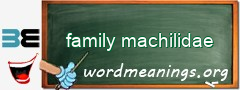 WordMeaning blackboard for family machilidae